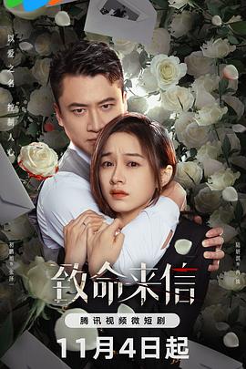 优化网站价格排名公司